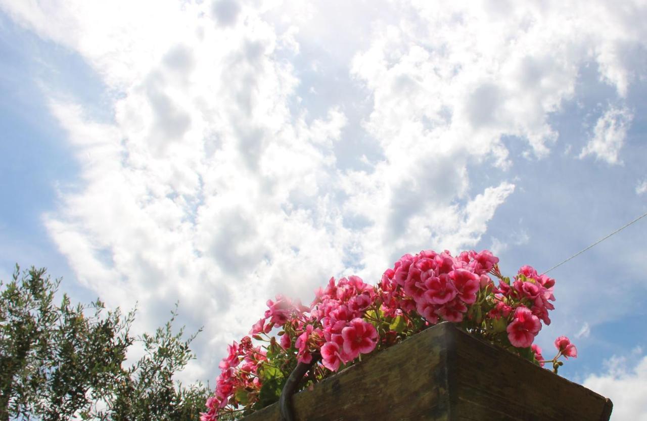 Il Sole Di Poggi Bed & Breakfast Imperia Dış mekan fotoğraf