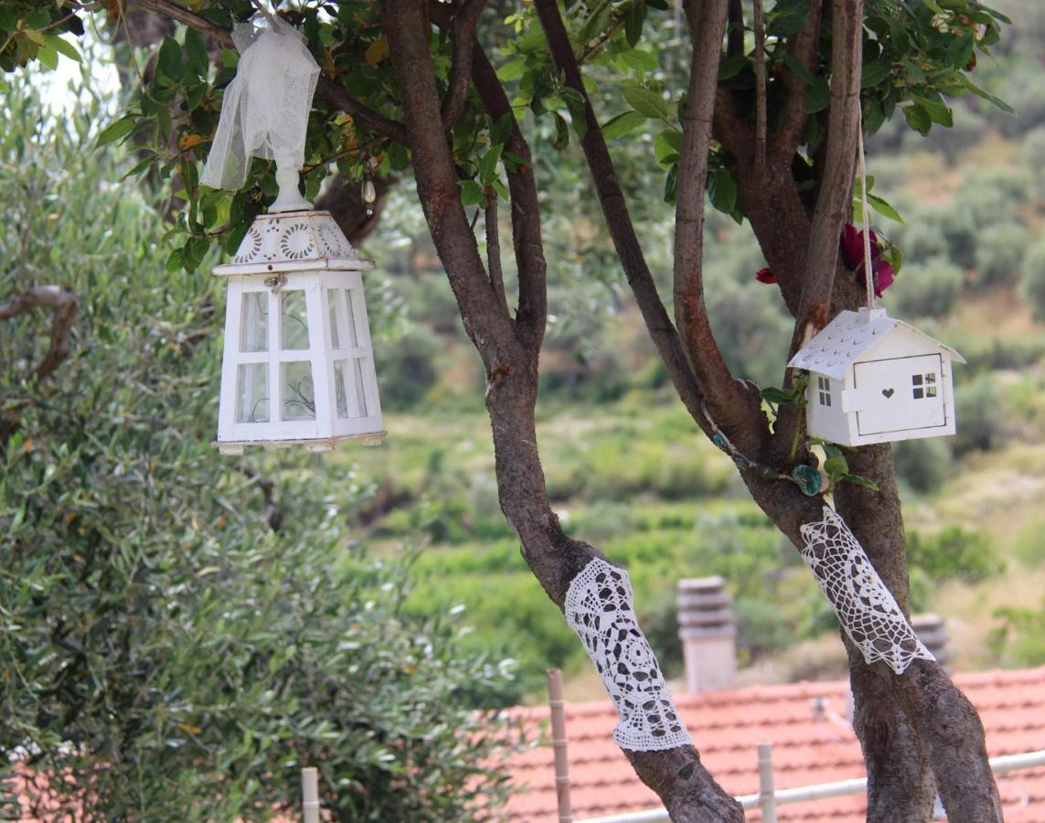 Il Sole Di Poggi Bed & Breakfast Imperia Dış mekan fotoğraf
