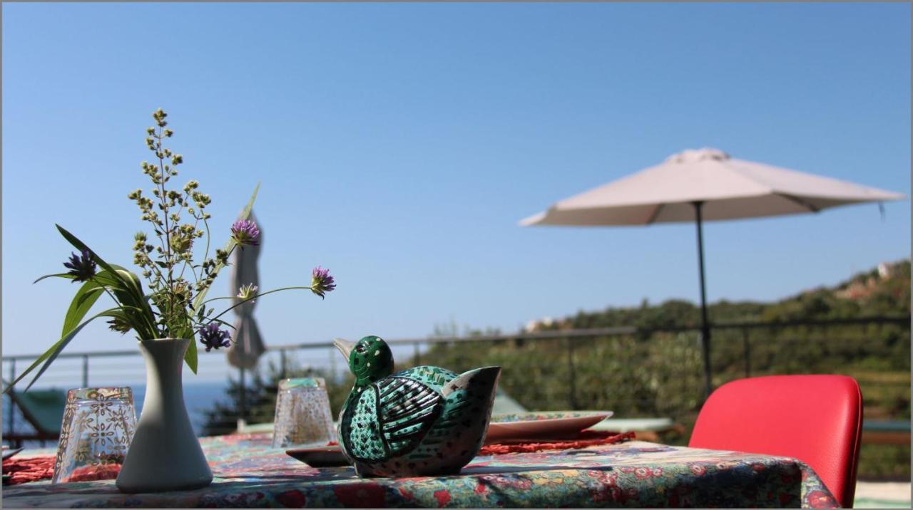 Il Sole Di Poggi Bed & Breakfast Imperia Dış mekan fotoğraf
