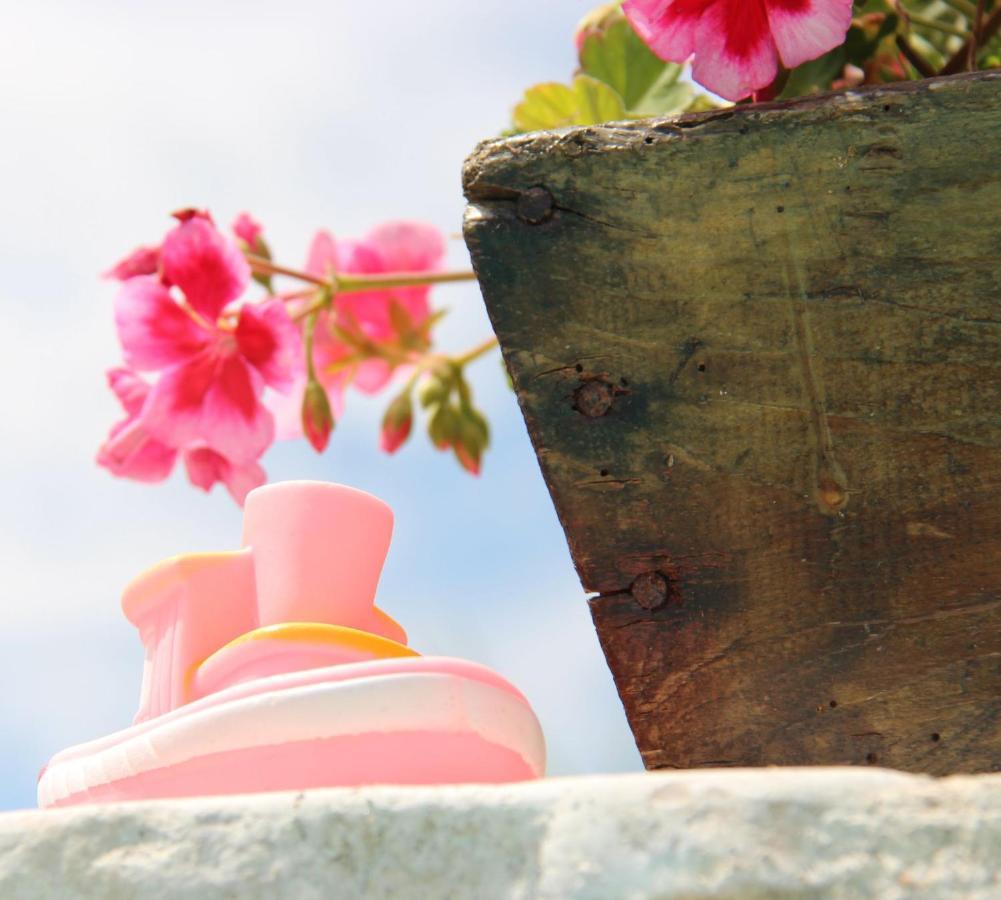 Il Sole Di Poggi Bed & Breakfast Imperia Dış mekan fotoğraf